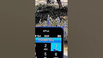 هذا رقم سياره مدرعه 