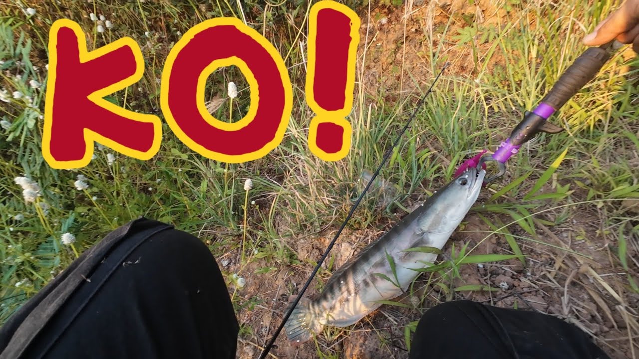 ตัวแรกหลุดตัวที่ 2 มีแต้ม