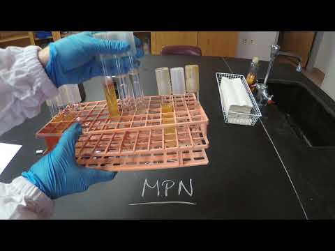فيديو: ما هي مزايا طريقة MF على طريقة MPN؟