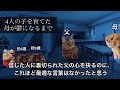 幼少期で家庭が崩壊した僕の人生②〜第二章 悲劇の原因〜【猫ミーム】【猫マニ】【猫meme】