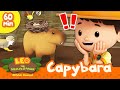 🎀✨ Fluffy Animals! 🐼🐨 Capybara, Sloths, Pandas &amp; more! | Leo the Wildlife Ranger | Kids Cartoons