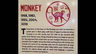 MONKEY | CHINESE HOROSCOPE 2024