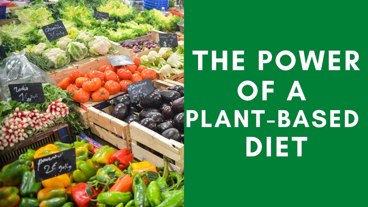 The Power of Plant Based Diet | Are Plant Based Diets Healthy? - YouTube