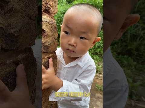 Sentuke rekhe baba তরমুজ kheye nilo 🍉🥺 ~hand crafts/ wood/ woodworking art skill #shorts #trending