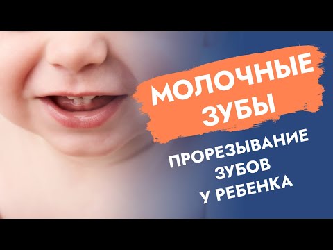 Молочные зубы. Прорезывание зубов у ребенка.