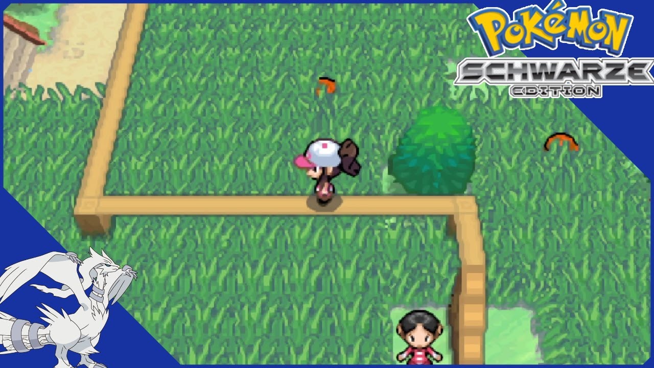 Balanceakt auf Route 7 | Pokémon Schwarz Random Team Challenge #24 ...