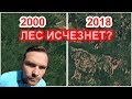 👍Жестокая вырубка лесов Сибири.🌳 Что останется потомкам?