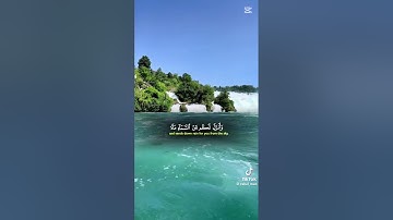 تلاوه خاشعه تهز القلوب للشيخ ياسر الدوسري #قران_كريم #اكسبلور #المصحف