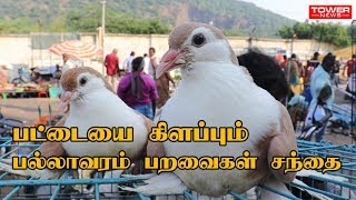 pallavaram birds market