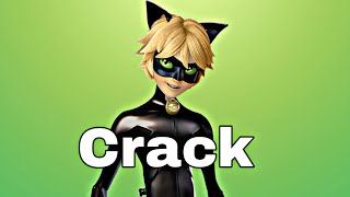 Cat noir - Crack