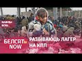 Мігранты рыхтуюцца да штурму пагранпераходу | Год за кратамі | Пачаўся суд над Вольгай Залатар