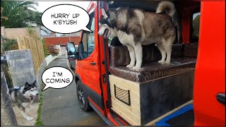 Sherpa picks up Best Friend Keyush for another Play Date