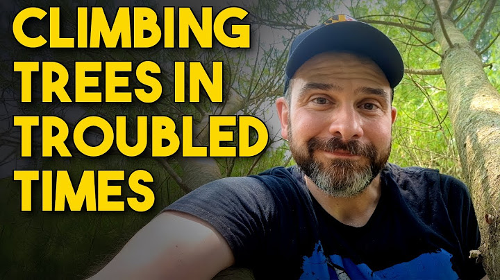 Climbing Trees in Troubled Times