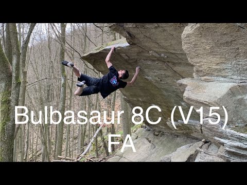 Bulbasaur 8C (V15) FA