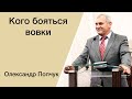 Кого бояться вовки - Олександр Попчук