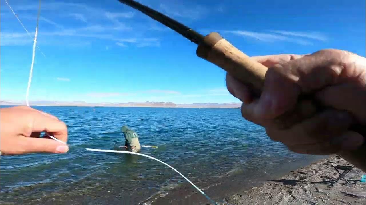 pyramid-lake-fly-fishing-23lb-midge-eating-lahontan-cutthroat-using