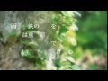 ウォンテッド(指名手配) / 吉井和哉 ピンク・レディー イエロー・マジック・オーケストラ Cover(歌詞付き) 毎日歌ってみた#107 by デヴィッド健太