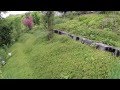 Hillside garden and GGcafe Hillside garden and GGcafe