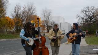 Video thumbnail of "Kitchen Dwellers - Raspberry Beret"