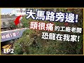 台南下起了「綠鬣蜥雨」，整個工廠竟被綠鬣蜥包圍！長期移除戰爭開打了！恐龍在我家EP2