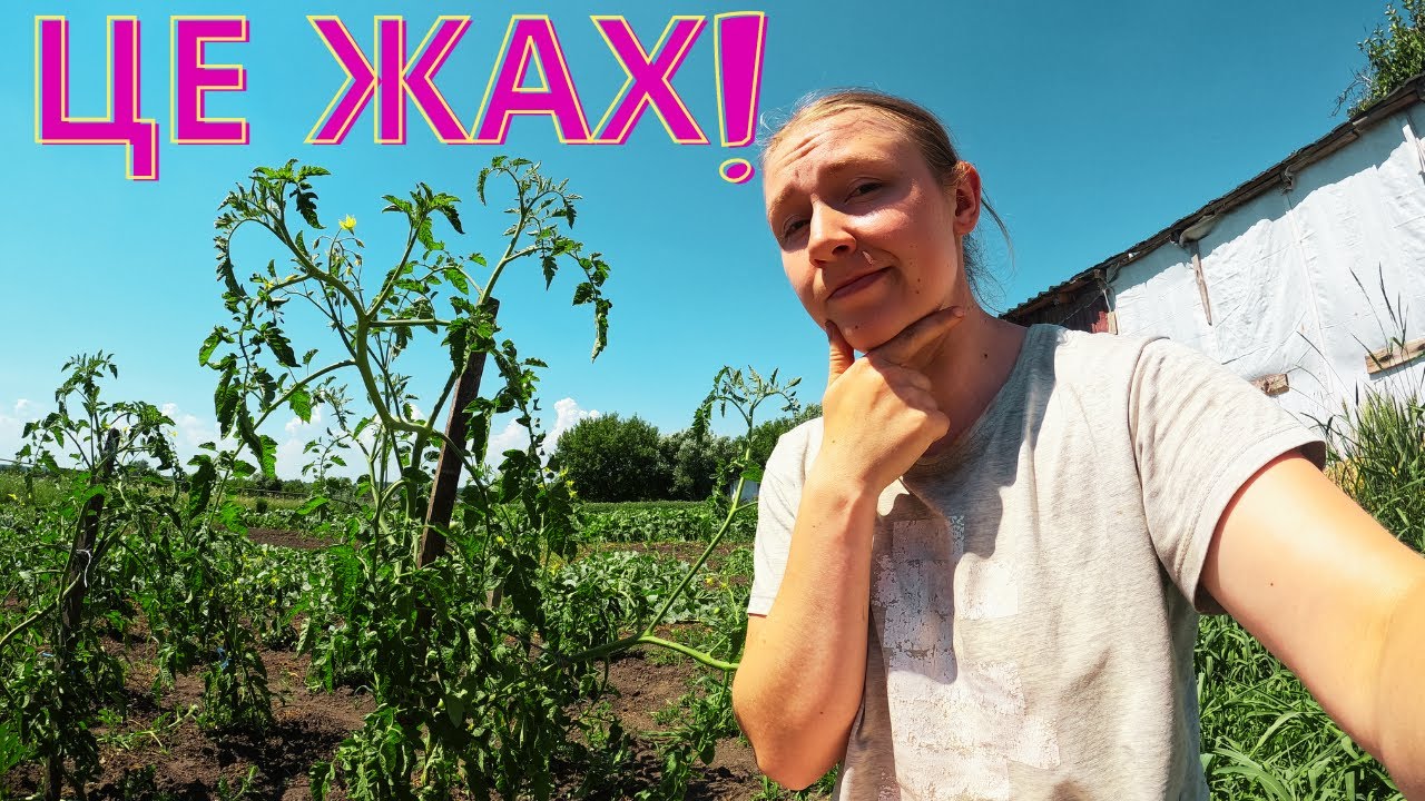 😱ЗАМОВИЛИ СЕМЯ - ПРИЇХАЛО МОЛОКО! АНОМАЛІЯ НА ФЕРМІ!💥