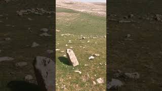 Karahan Tepe T-Pillar Stone Circle (Unexcavated Area)