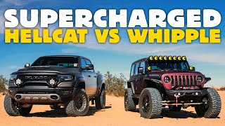 Ripping the World's First Whipple Supercharged Jeep 392 and a RAM TRX in the Dunes! by Forged 4x4 2,714 views 2 weeks ago 19 minutes