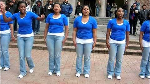 Zeta SPR 06 Probate