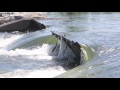 These guys create waves at Boise's whitewater park. Literally.