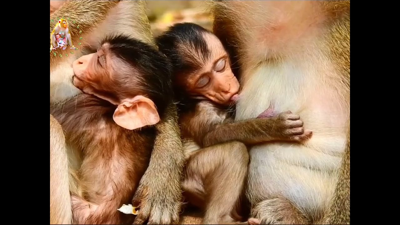 sudah sehat dan bisa bermain dengan teman temannya