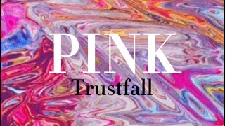 Pink - Trustfall music video - lyrics