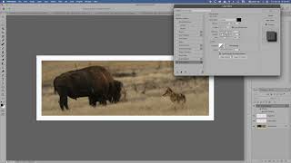 How To   Create a Floating Drop Shadow in Photoshop