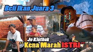 Kena Marah Istri Gara-Gara Beli Ikan Koi