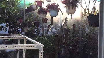 [mayphunsuonggiare.vn] Lắp Đặt Phun Nước Tự Động Tưới Cây Tại HCM