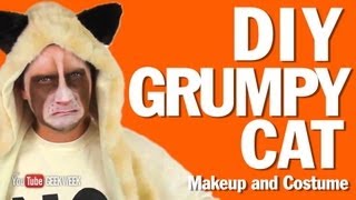 DIY Grumpy Cat Makeup and Costume HowTo