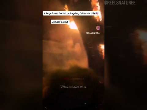 Los Angeles Wildfire 2025