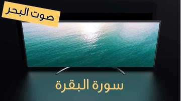سورة البقرة | استمتع بالتلاوة مع صوت البحر | اصوات طبيعية | استرخاء - دراسة - تأمّل - نوم - عمل