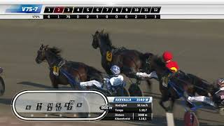 Vidéo de la course PMU HUVUDSPONSORERNAS LOPP - STL SILVERDIVISIONEN (FORSOK 7 I MEETING 5 - FINAL SOLVALLA 20/8)