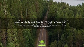 تلاوة رائعة: "يَا دَاوُودُ إِنَّا جَعَلْنَاكَ خَلِيفَةً فِي الْأَرْضِ" | سورة ص | قرآن
