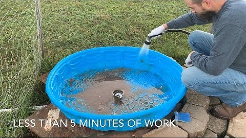 Our Morning Routine/Cleaning the Easy Drain Duck Pool