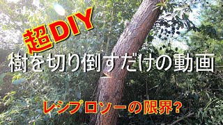 【DIY】 樹を切り倒すだけの動画　レシプロソーで３７cmの樹は伐れるのか