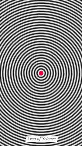 Option illusion....#fypシ#earyzz #science #sapna #astro #phlanets #universe #reel #illusion