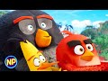 Epic Cannonball Scene The Angry Birds Movie 2 