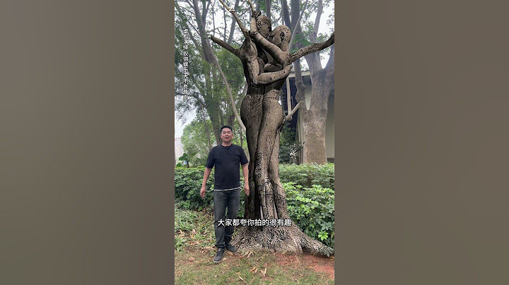 Tickle the tree#couple tree#XianYing#mobile phone special effects