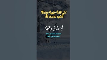 القرآن الكريم ❤ ألا بذكر الله تطمئن القلوب قل يارب 🤲 #القرآن_الكريم #اكسبلور #المصحف #everyone
