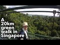 A 20km nature walk in Singapore? It is possible.