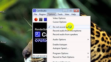 ScreenCasting met Camstudio Video