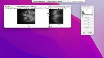 Fiji Image Analysis Crash course #004: Reslice+Combine