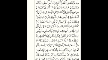 مقام الصبا من سورة لقمان بصوت القارئ عماد محمد خطيب