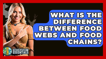 What Is The Difference Between Food Webs And Food Chains? - Ecosystem Essentials